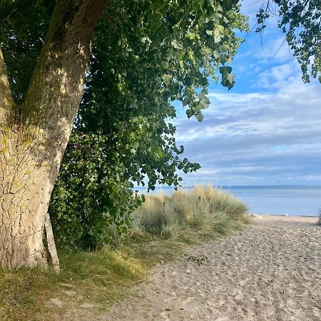 Feriendorf Suedstrand Haus 04 Pelzerhaken Buitenkant foto
